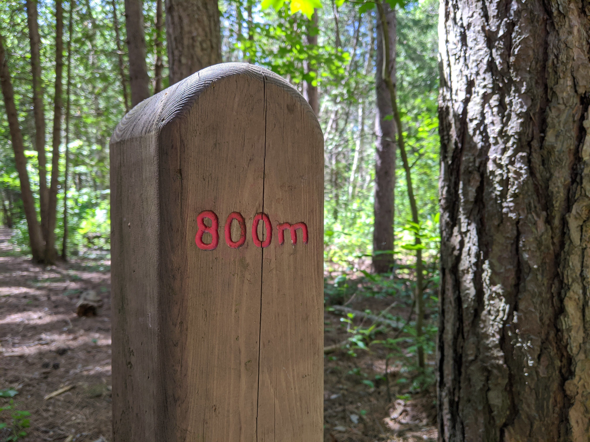 A marker along the path that says "800 m."