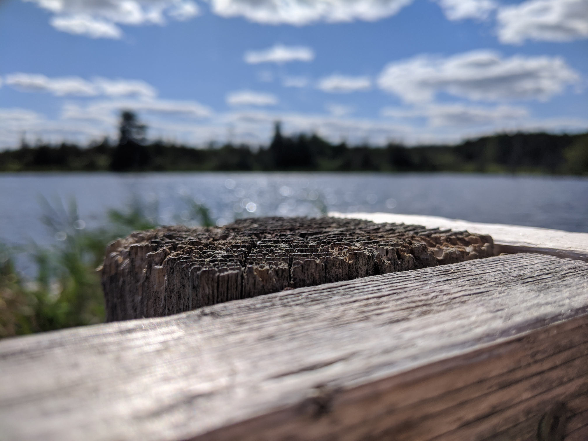 The unnamed lake by Sarsaparilla Trail